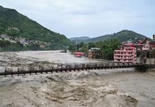 बेरहमी से बर्बाद किया जाता हिमालय