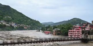 बेरहमी से बर्बाद किया जाता हिमालय