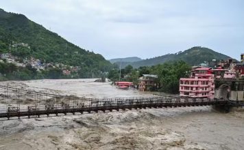 बेरहमी से बर्बाद किया जाता हिमालय