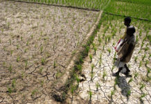 सूखे की चपेट में है भारत का 30 फीसदी हिस्सा