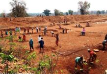 मनरेगा के 20 फीसदी मजदूरों को कर दिया गया अयोग्य घोषित