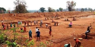 मनरेगा के 20 फीसदी मजदूरों को कर दिया गया अयोग्य घोषित