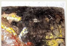 हम दूसरी पृथ्वी कहां से लायेंगे? पेंटिंग- कौशलेश पांडेय