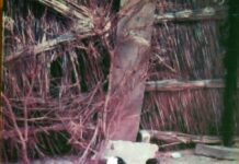 लोक जीवन की लय का स्पंदन