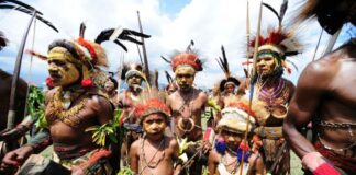 कहां-कहां हैं आदिवासी मिजाज के शहर Australis's Tribe