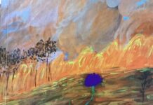 नीला कॉर्नफ्लावरः एक विद्रोही रचना की आग Blue Cornflower: A Rebel Design That Fires