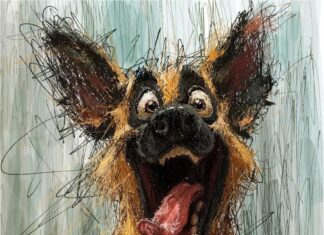 कब तक कहते रहेंगे कि कोई डर नहीं लग रहा ? GVAtrs (Ezekiel Gbenga)