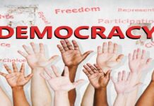 How much of a democracy are we?