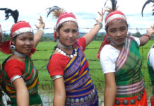 How About Implementing the Constitution in Adivasi and Tribal Areas?