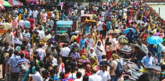 The Economics of Population Growth
