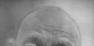 हमारे बापू महात्मा गांधी