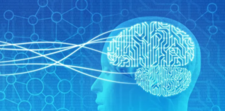 बुद्धिजीवियों का दायित्व और जिम्मेदारी