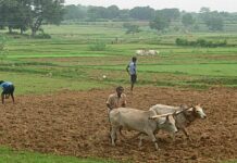 केयूर पाठक की कविता