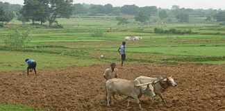 केयूर पाठक की कविता