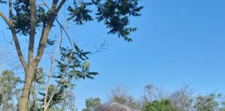 भाजपा संघ प्रधानमंत्री नरेंद्र मोदी की सरकार ने लोकतांत्रिक सारी मर्यादाएं धराशाही की हैं!