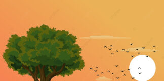 पेड़ और आदमी