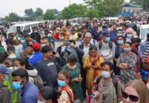 भीड़, भेड़ और चाल – विवेक मेहता