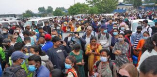 भीड़, भेड़ और चाल – विवेक मेहता