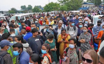 भीड़, भेड़ और चाल – विवेक मेहता