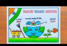 Why the Swachh Bharat Abhiyan Failed?