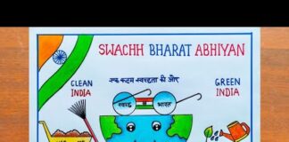 Why the Swachh Bharat Abhiyan Failed?