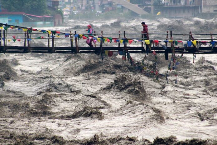 himachal flood