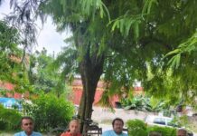 सच्चिदानंद सिन्हा Sachchidanand Sinha