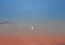 मणिमाला जी की कविता! Poem by Manimala ji!