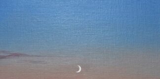 मणिमाला जी की कविता! Poem by Manimala ji!