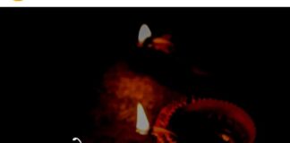 त्यौहारों का त्यौहार दीपावली – राजेंद्र रंजन चतुर्वेदी Diwali