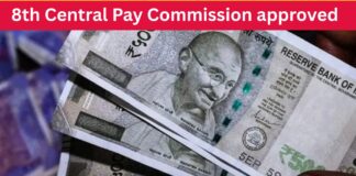 The 8th Pay Commission: More peanuts for the monkeys? 8th Pay Commission