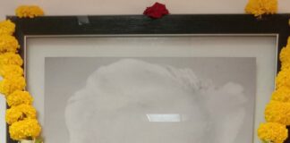 समाजशास्त्री आई.पी. देसाई और सेंटर फॉर सोशल स्टडीज (सूरत) I.P. Desai