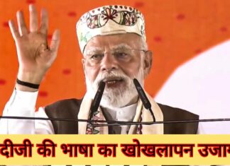 पंत प्रधान की लज्जाजनक शब्दावली – राकेश अचल PM Modi