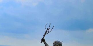 बिरसा: मिट्टी, स्मृति और मुक्ति का नाम Birsa Munda