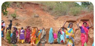 अच्छा किया मनरेगा से गांधी को मिटाकर – योगेन्द्र यादव MGNAREGA