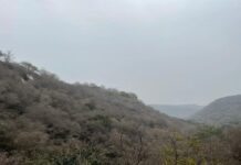 पुनर्जीवित अरावली अब पुनः विनाश की दिशा में है – राजेंद्र सिंह Aravali