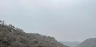 पुनर्जीवित अरावली अब पुनः विनाश की दिशा में है – राजेंद्र सिंह Aravali