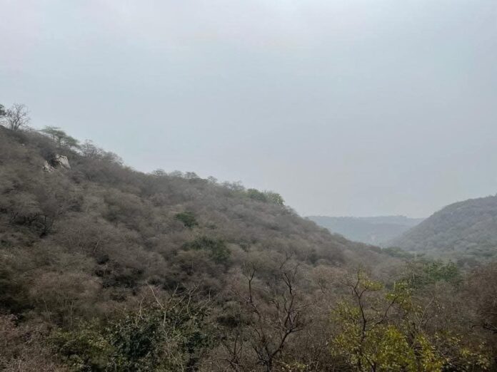 Aravali