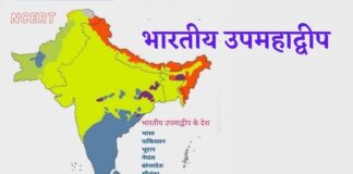 विरासत से जंग में उलझा भारतीय उपमहाद्वीप – अरुण कुमार त्रिपाठी Indian subcontinent