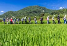 Drowning in debt. About 52% of India’s 90 million agricultural households are indebted. agricultural