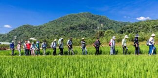 Drowning in debt. About 52% of India’s 90 million agricultural households are indebted. agricultural