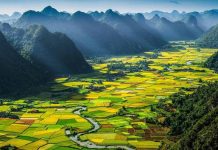 महेन्द्र ममहेन्द्र मद्धेशिया की कविताएँ!