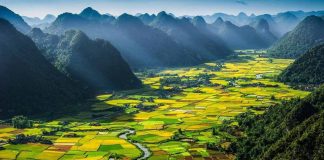 महेन्द्र ममहेन्द्र मद्धेशिया की कविताएँ!