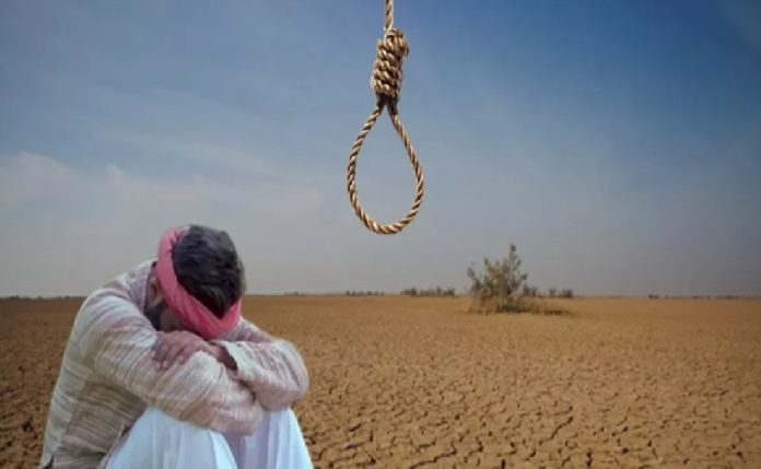 Farmer Suicides