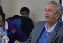 A TRIBUTE TO ASHOK DESAI – Menaka Guruswamy ASHOK DESAI