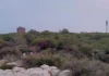JNU का मार्ग: मुनिरका The Road to JNU: Munirka