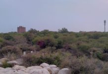 JNU का मार्ग: मुनिरका The Road to JNU: Munirka