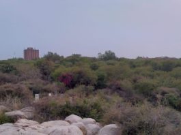 JNU का मार्ग: मुनिरका The Road to JNU: Munirka