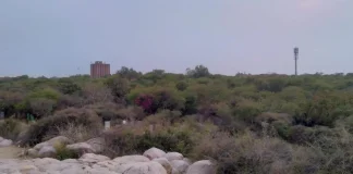 JNU का मार्ग: मुनिरका The Road to JNU: Munirka