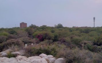 JNU का मार्ग: मुनिरका The Road to JNU: Munirka